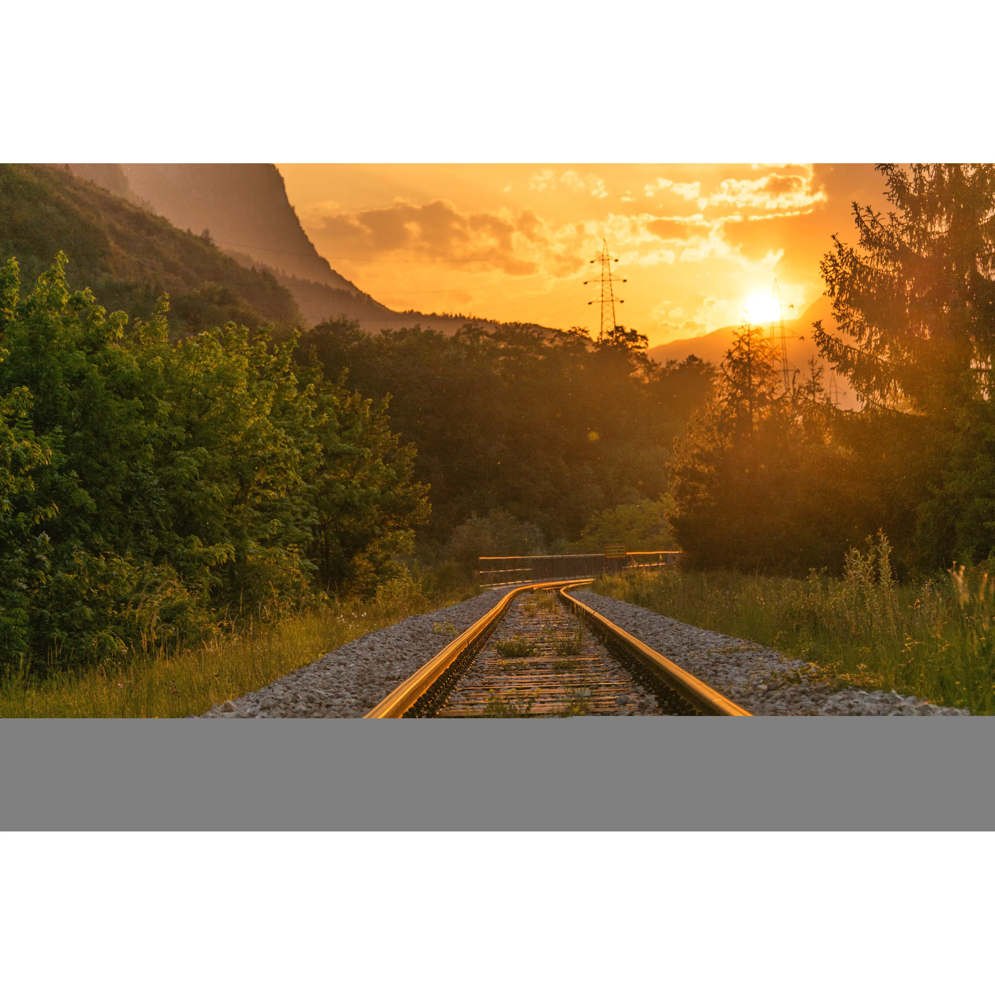 Planning for the Long Term: Top 5 Questions for Teen Autism Spectrum Disorder (ASD) Programs