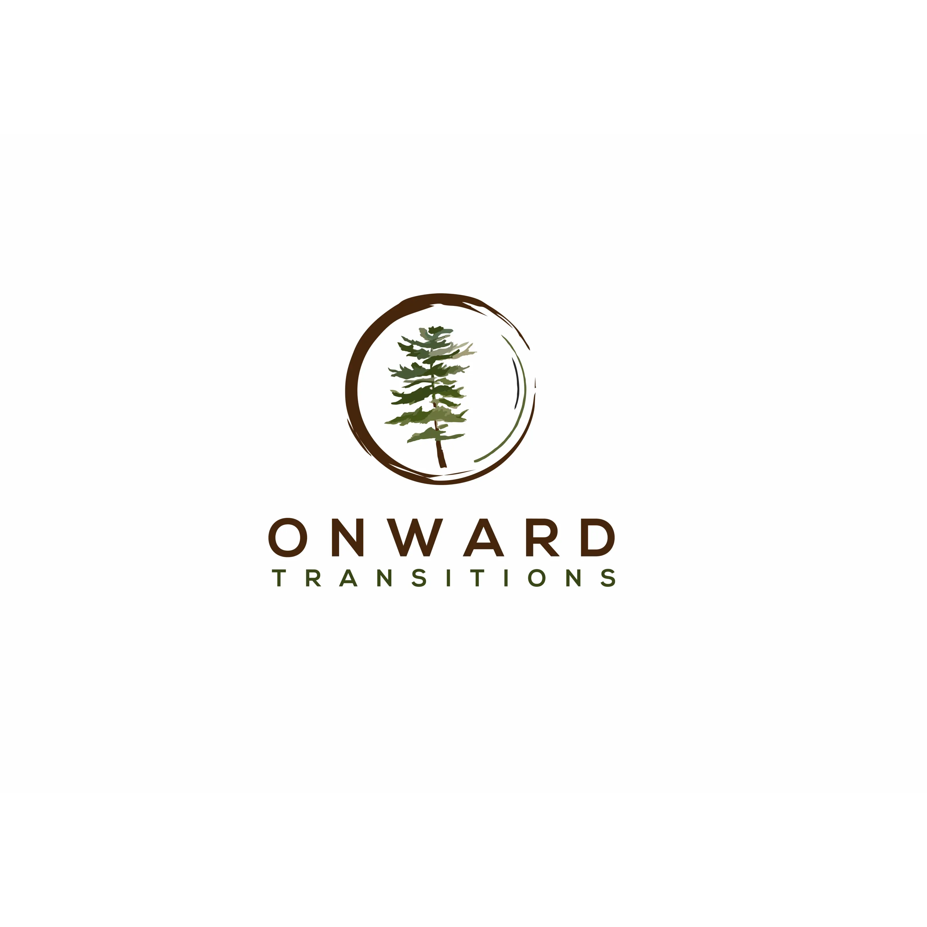 Onward Transitions Serving Emerging and Establishing Adults