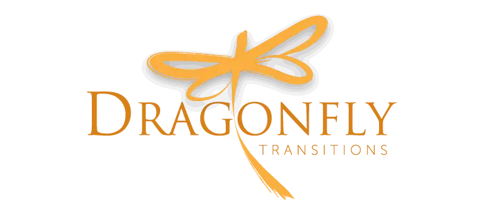 Young Adults at Dragonfly Transitions Learn to Thrive in Transition